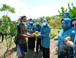 Desa Sambibulu Kecamatan Taman, Sodoarjo. Masuk 10 Besar Dalam Lomba Desa se Jawa Timur