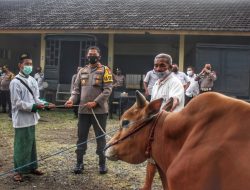 Simbolis, Kapolres Jember Serahkan Hewan Qurban