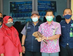 Ditpolairud Polda Jawa Timur Ringkus Dua Pelaku Penyelundupan Satwa Dilindungi