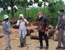 Bupati Ikfina didampingi Camat Masluchman dan Kades Zainal Abidin Meninjau Ekskavasi Situs Bhre Kahuripan di Desa Klinterejo