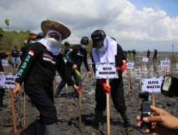 Lestarikan Ekosistem Hayati, Bupati Bojonegoro Ikut “Nandur” Mangrove Banyuwangi
