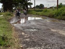 Jalan Desa Kaligung Rusak Parah