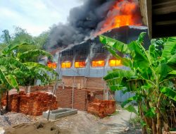 Gudang Palet Plastik di Desa Randegan Kecamatan Tanggulangin, Sidoarjo, Ludes Terbakar Api