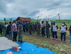 Perhutani KPH Madiun, Forkopimda Kabupaten Madiun, serta LMDH dalam wilayah Madiun Melakukan Gerakan Penanaman Pohon Bersama