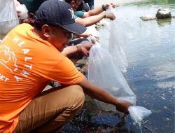 Rangkaian acara IOX Javex 2021 di Kabupaten Ponorogo Ditutup dengan Penaburan Benih ikan di Waduk Bendo