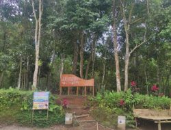 Tetap Bangga, Tetebatu Gagal Raih ‘’Best Tourism Village’’ UNWTO