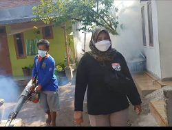 Kades Brangkal  Nur Ely Suryani Pimpin Langsung Penyemprotan Fogging Blusukan dari Rumah ke Rumah