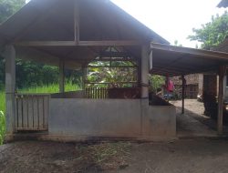 Kelompok Tani di Madiun Kecewa Karena Bantuan Sapi