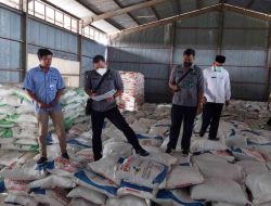 Kasi Intel Kejaksaan Negeri Situbondo Sidak Gudang Pupuk, Kami Berantas Mafia Yang Bermain