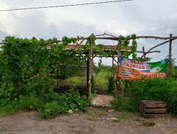 Wisata Jambu Desa Kebaron Kec. Tulanggan Kab. Sidoarjo