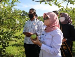 Bupati Blitar Terus Dukung Perekonomian Desa Lewat OVOP