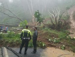 Longsor, Jalur Ponorogo-Trenggalek Tutup Total