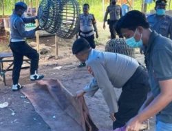 Polres Situbondo Grebek Arena Judi Sabung Ayam di Sektor Wilayah Barat Banyu Glugur