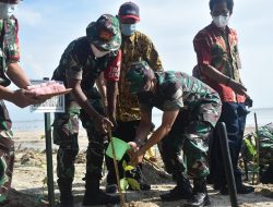 Peduli Lingkungan, Danrem dan Kodim Tanam Mangrove Bersama Elemen Masyarakat