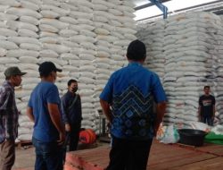 Pemkab Dompu Segera Surati Pemprov NTB dan Bulog untuk Percepatan Serapan Gabah