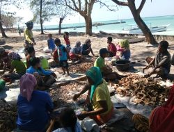 Pria Asal Pulau Raas Kelola Sampah Laut Tembus Internasional