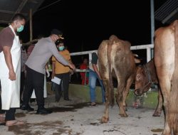 Kapolresta Sidoarjo Sidak Rumah Pemotongan Hewan di Kec. Krian