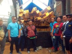 Perhutani KPH Banyuwangi Selatan Berhasil Gerebek Tempat Penggergajian Kayu Jati Ilegal