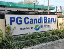 KARYAWAN PKWT PG CANDI BARU SIDOARJO TUNTUT UANG PESANGON