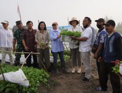 Bupati Bojonegoro Beri Bantuan Bibit Tembakau Berkwalitas kepada Petani Tembakau
