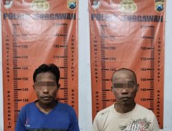 Dua Pelaku Pencurian Kayu Sono Keling Diamankan Polsek Jenggawah