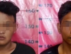 Panjat Tembok, Pencuri Burung Kontes Puluhan Juta Diringkus Polisi