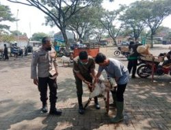 Cegah PMK Hewan Ternak, Polsek Wlingi Perketat pengawasan di Pasar Hewan