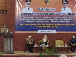 Dinas Koperasi dan UMKM Kabupaten Mojokerto Gelar Workshop di Graha Mulyo Jati Mojopahit Mojokerto