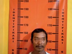 Bawa Delapan Balok Kayu Hutan Pakai Motor, Pria ini Diamankan Polsek Sempolan