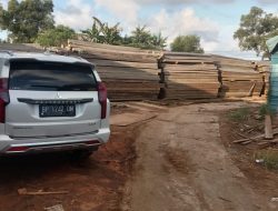 Diduga, Somel Kayu Beredar di Sagulung,  Pemerintah Terkait Tutup Mata