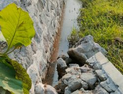 “Proyek Siluman”, Belum Genap Tiga Bulan Proyek Talud Penahan Jalan di Desa Sendang Ambrol