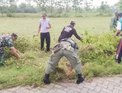 “KEMISAN” Bersih Bersih Area Makam Bersama Jajaran TNI Babinsa Koramil 06 Baureno dan Warga Desa Pomahan