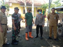 Pastikan Hewan Sehat, Polsek Wuluhan Kawal Vaksinasi Ternak