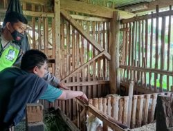 Polsek Dau Patroli Pemilik Hewan Ternak, Sosialisasikan Penyakit Mulut dan Kuku