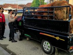 Razia Sat-Samapta Polres Ponorogo Antisipasi Kendaraan Pengangkut Hewan Ternak