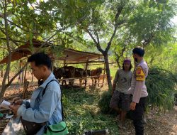 Antisipasi PMK, Bhabinkamtibmas Polsek Utan Lakukan Monitoring dan Himbauan kepada Warga