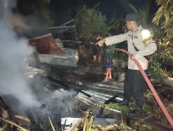 Gara-Gara Bediang Kandang di Tambakromo Pati Terbakar, Seekor Sapi Mati Terpanggang