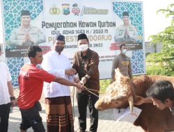 Polresta Sidoarjo Salurkan Hewan Qurban 18 ekor Sapi dan 68 ekor Kambing ke Masyarakat