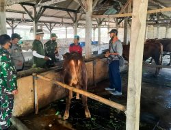 Babinsa Koramil Kanor Bojonegoro dampingi Petugas Vaksinasi Hewan Ternak