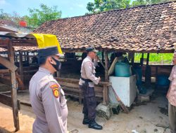 Cegah Penyebaran PMK, Kapolsek Mantup AKP M. Kosim SH. Binluh kepada Pemilik Sapi di Desa Tunggunjagir