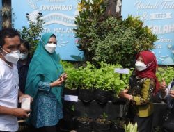 Masyarakat RW 7 Sukoharjo Sambut Antusias Penilaian Lomba Urban Farming