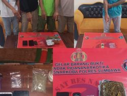 Miliki Ganja, 5 Orang Pria Diringkus Sat Resnarkoba Polres Sumbawa