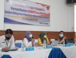Pemanfaatan SISRUTE Dan PSC 119 Dalam Pelayanan Maternal Neonatal