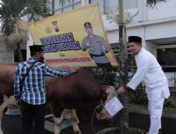Polresta Malang Kota Distribusikan Hewan Qurban 7 Ekor Sapi dan 24 Ekor Kambing Untuk Masyarakat Kota Malang