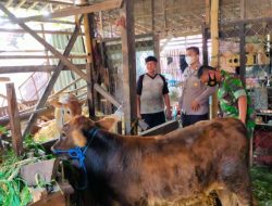 Cegah Wabah PMK, Bhabinkamtibmas Polsek Weleri sampaikan Himbauan ke peternak