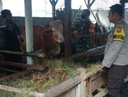 Polresta Banyuwangi Terus Berikan Dukungan dan Genjot Vaksinasi Tahap II, Perluas Vaksin Hewan Ternak