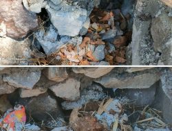 Diduga ada “Proyek Siluman”, Dinas PU Bina Marga Kab. Wonogir “Tutup Mata”