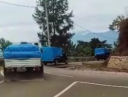 Satgas PMK Kabupaten Toraja Utara Paksa Putar Balik Mobil Pengangkut Ternak di Pos Sekat, Cegah Wabah PMK