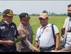 Menangkan Perkara Sengketa Tanah di PN Jombang, LBH PERMATA LAW dari Mojokerto Lakukan Eksekusi