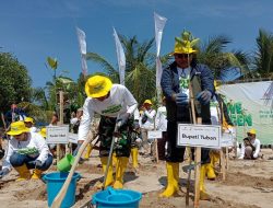 Tanam Mangrove, Panen Oksigen di Pantai Kelapa
